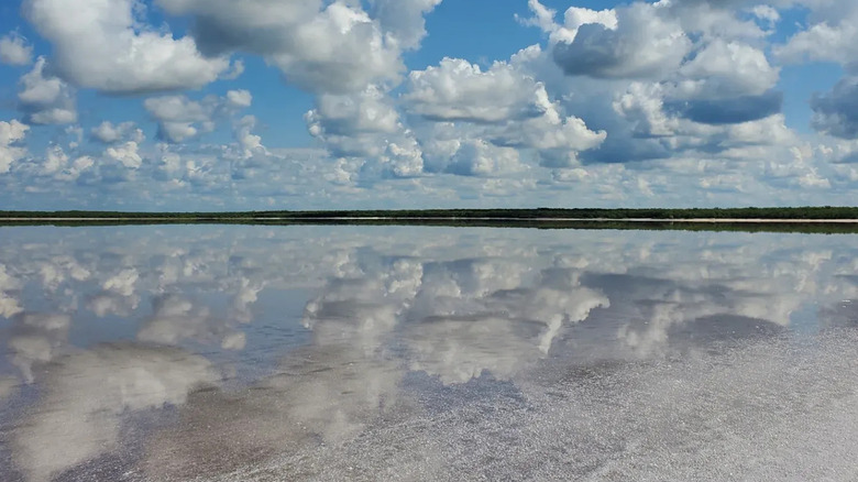 Reflective water on La Sal del Rey salt lake in Texas