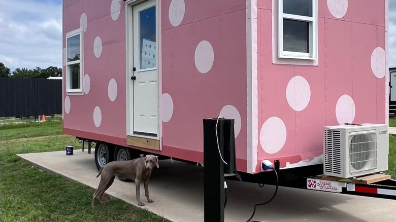 The Bird's Nest is dog-friendly and features lively tiny homes like this pink-and-polka-dot painted one