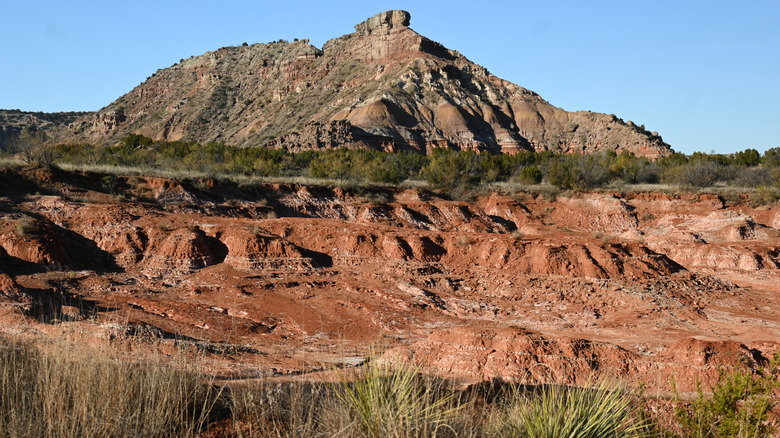 desert landscape in Texas High Plains Panhandle
