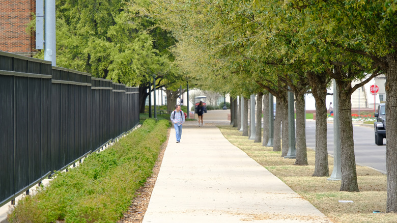 Person walking on treelined sidewalk in University Park, Texas