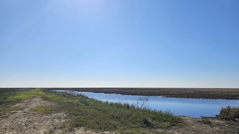 Trail in the Texas Point National Wildlife Refuge