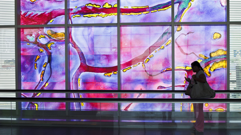 Woman riding past a glass mural at the Houston Hobby Airport