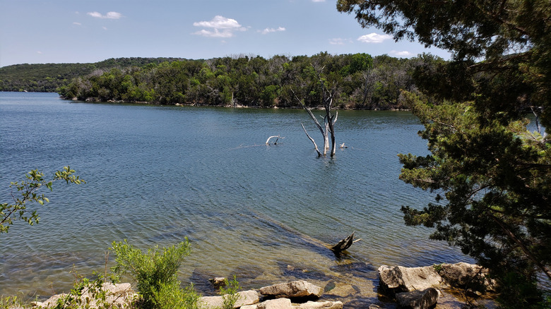 Trees and natural surrounds on the edge of the clear blue water of Possum Kingdom Lake, TX.