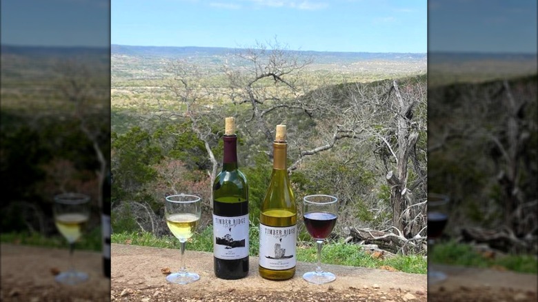 Two bottles of wine and two glasses of wine at Timber Ridge Winery; the landscape is in the background.