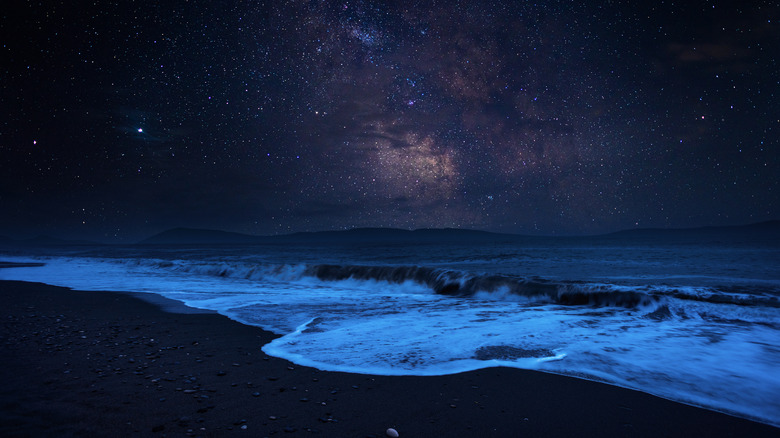 Starry night with Milky Way over the beach