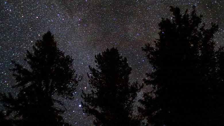 Starry night near Goose Lake, Central Idaho
