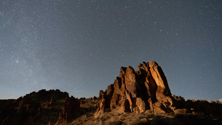 Starry landscape in Great Basin National Park