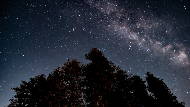 Starry night over the trees in Headlands, Michigan