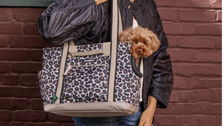 Close-up view of woman's leaning against a brick wall from the shoulders to hips with a leopard print Cleverpup dog carrier and small dog on her shoulder