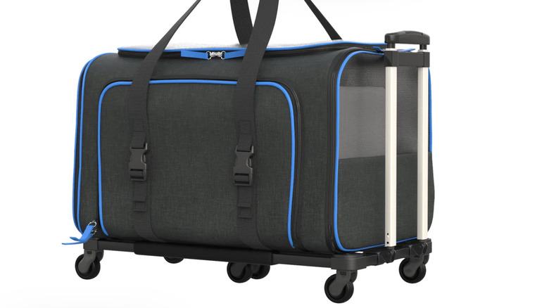 Black Katziela Rolling Rover crate with blue trim and removable wheels on white background