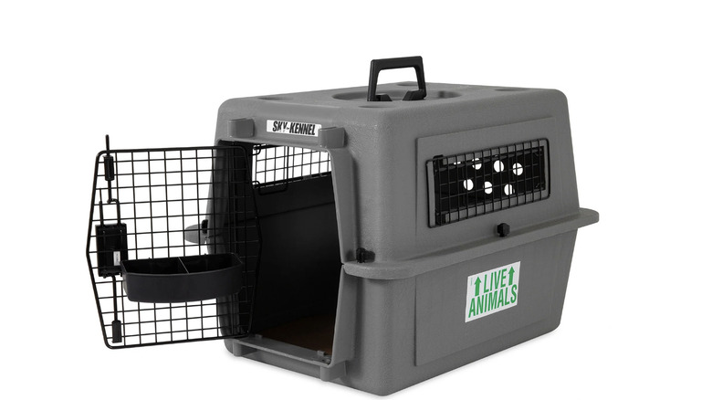Grey Petmate Sky Kennel with "Live Animals" sticker sitting against white background