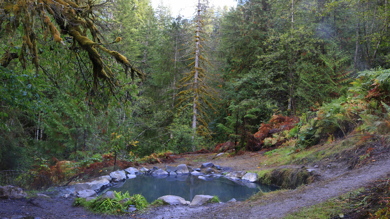 Olympic Hot Springs in Washington
