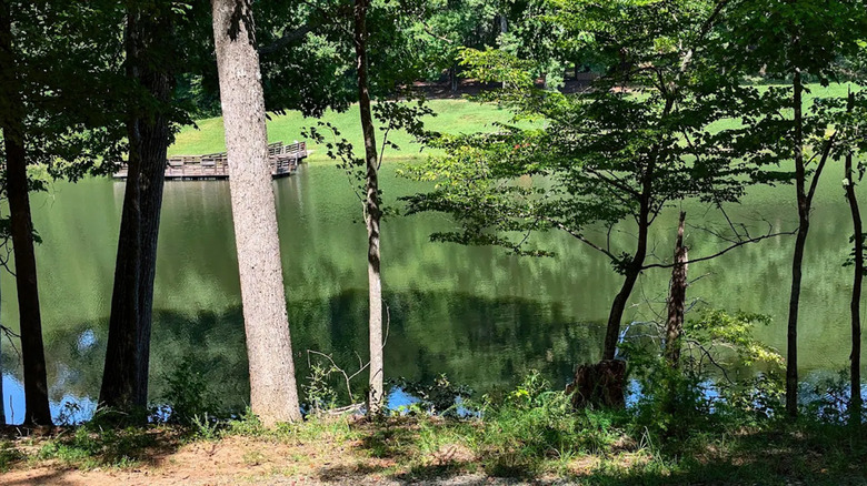 The Haw River seen through trees in Haw River State Park, North Carolina