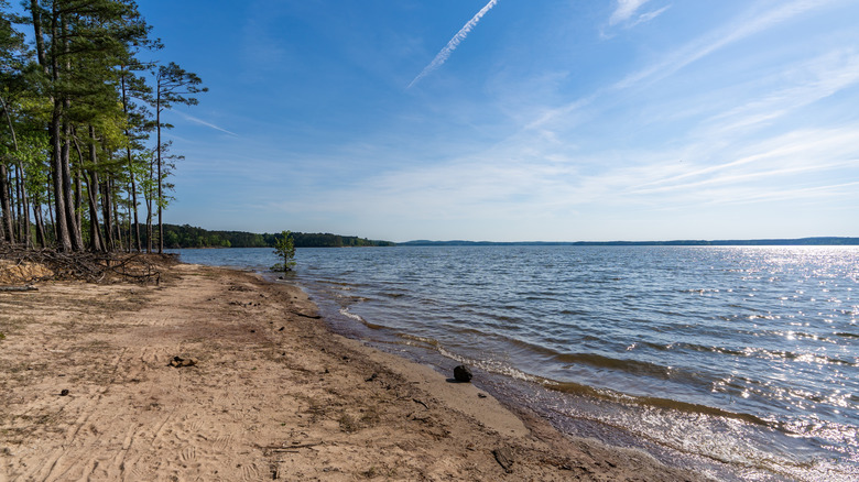 The beach on Jordan Lake at Jordan Lake Shore Recreation Area, in North Carolina