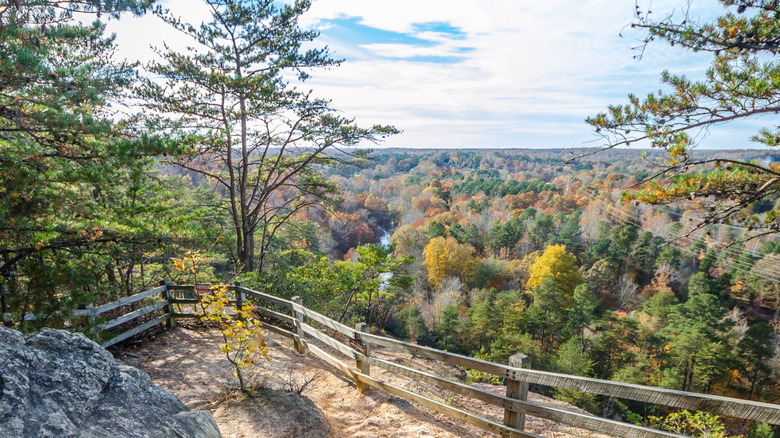 Looking out across the forest from the summit of Occoneechee Mountain in Hillsborough, North Carolina, USA