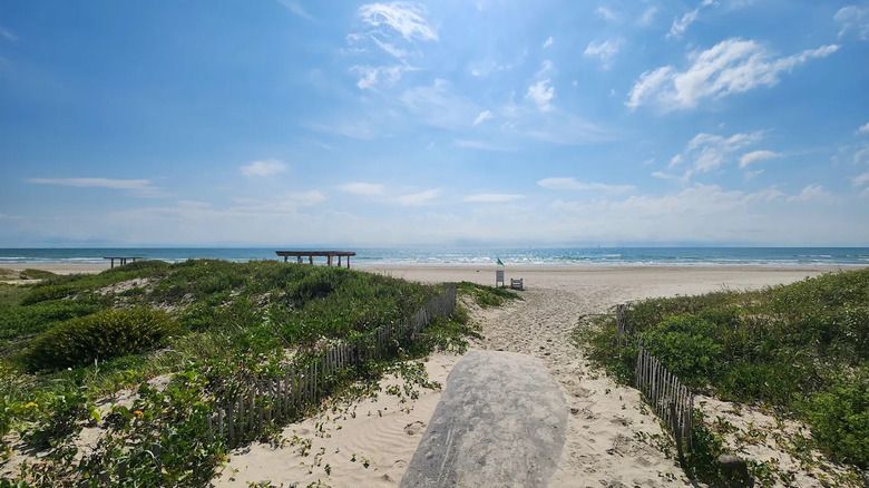 A sandy beach under a blue sky with a boardwalk at Mustang Island State Park, Texas