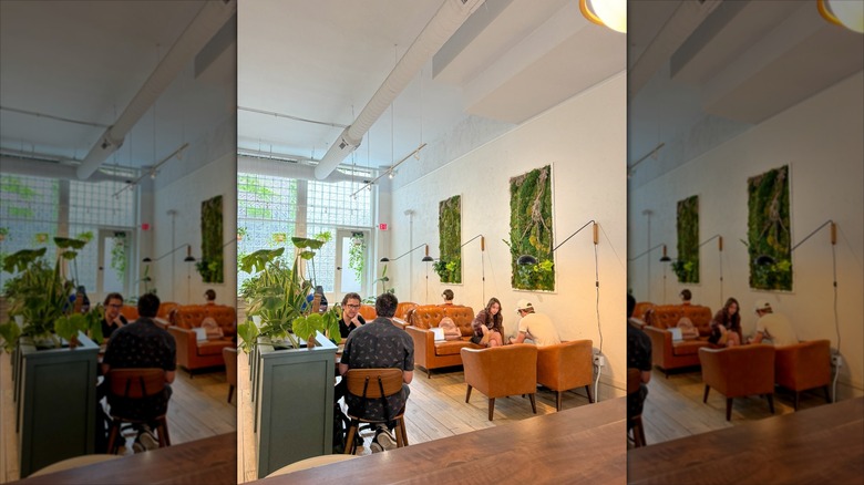 Interior view of Deeper Roots Coffee, Cincinnati, Ohio