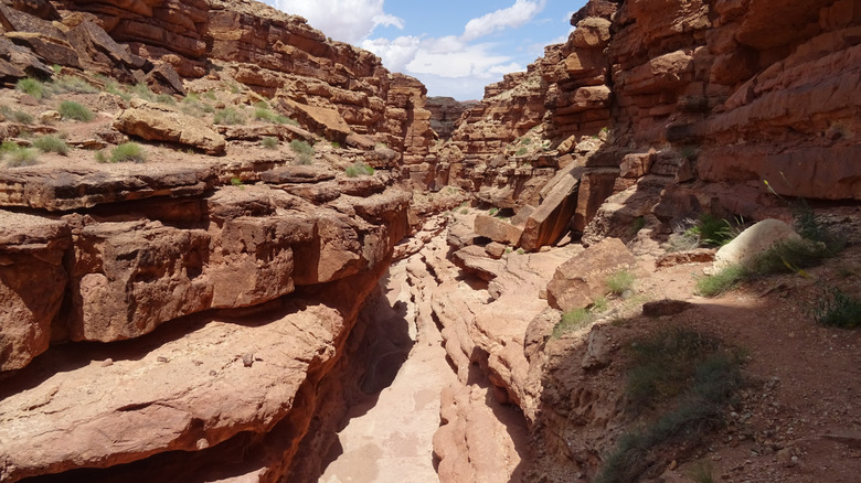 Inside Cathedral Wash Canyon in Arizona