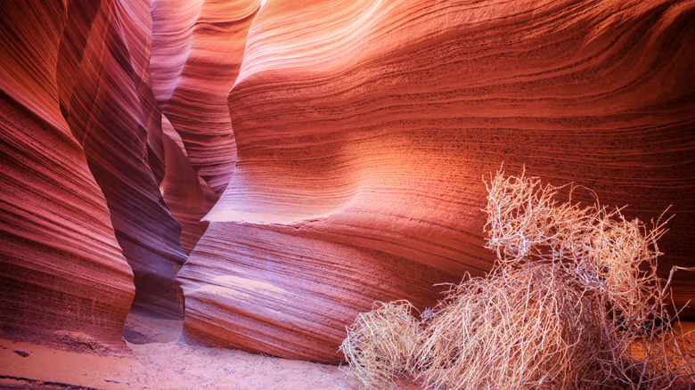 Red cliffs in Rattlesnake Canyon, Arizona