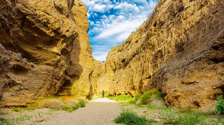 Hiker in Spooky Canyon in Arizona