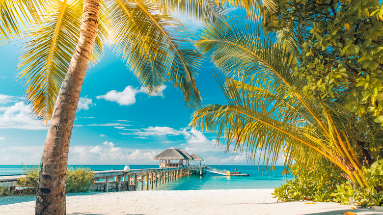 Tranquil view of dock in the Caribbean