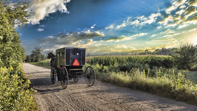 An Amish buggy creates a small amount of dust on a rural, gravel road in Northern Indiana at sunrise