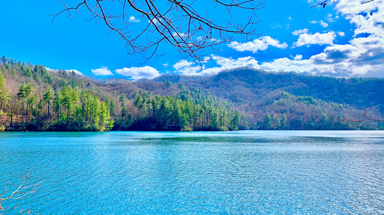 Lake Santeetlah surrounded by the Nantahala National Forest in North Carolina