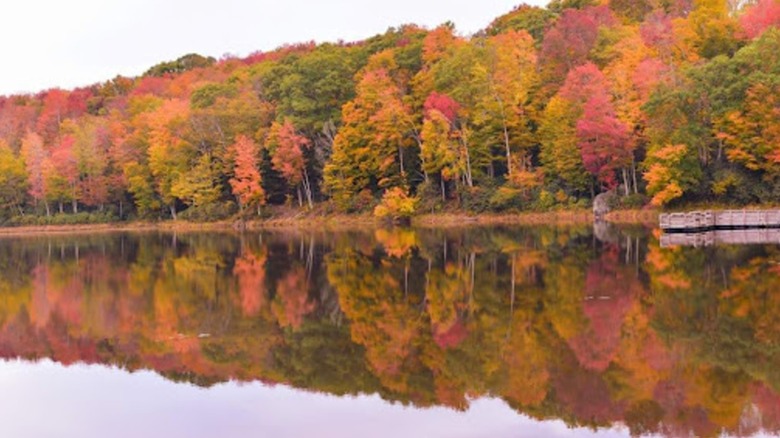 Wildcat Lake in North Carolina