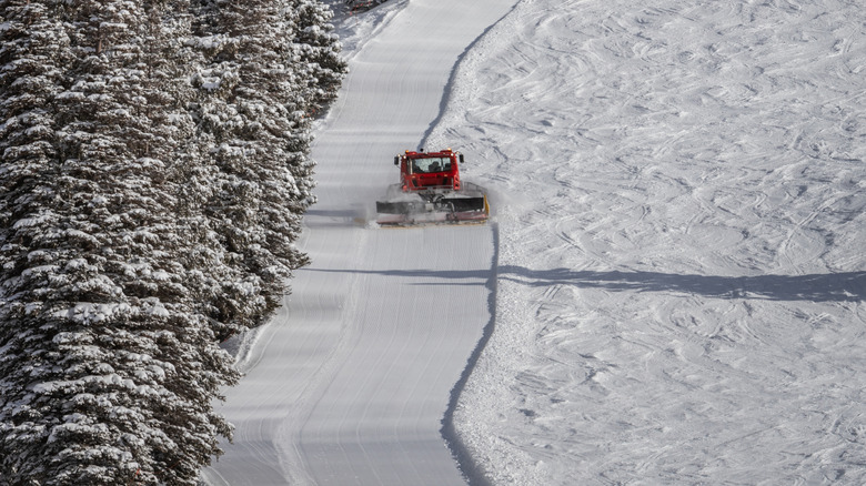 An aerial view of a snow cat grooming a ski trail at the end of the day at Alta Ski Area.