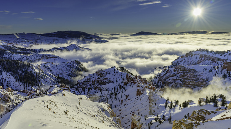 Low clouds fill the amphitheater of Cedar Breaks National Monument near Brian Head, Utah.