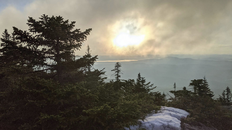 A misty overlook at C.C. Putnam State Forest in Vermont