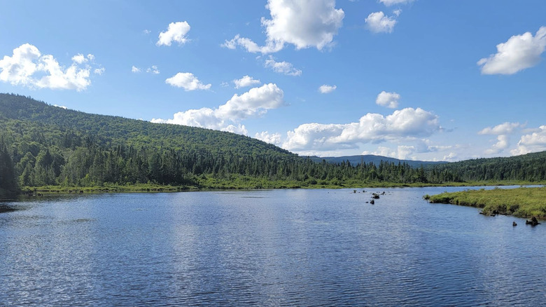 The Connecticut River from the Deer Mountain Campground in Connecticut Lakes State Forest
