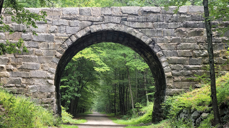 A bridge in Douglas State Forest