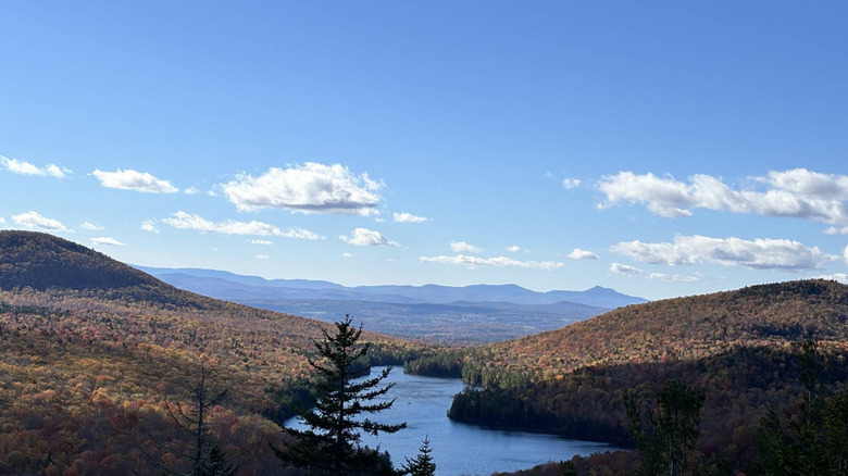 Overlook in Groton State Forest