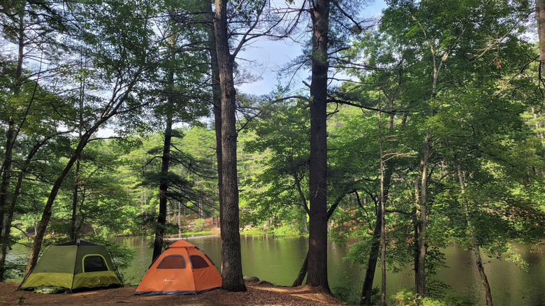 Tents on the banks of a lake in Harold Parker State Forest