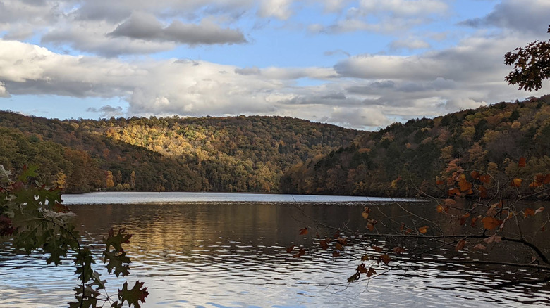 Lake in Paugussett State Forest in autumn