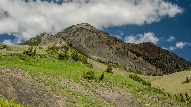 Electric Peak Rises Over Grassy Valley In Yellowstone National Park