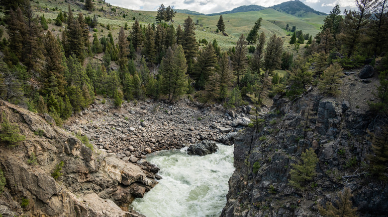 Hellroaring Creek rushes deep below a suspension bridge along the Hellroaring Creek Trail in Yellowstone National Park