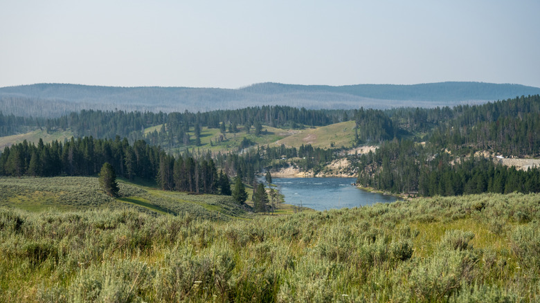 Wide spot in the Yellowstone River from Yellowstone National Park's Howard Eaton Trail on a summer afternoon