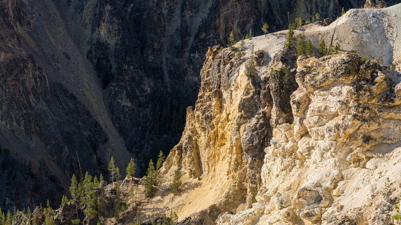 The steep cliff of the Grand Canyon of the Yellowstone seen from the Seven Mile Hole Trail along the north rim