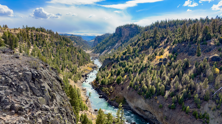 Yellowstone River as seen from the Specimen Ridge Trail, Yellowstone National Park, WY