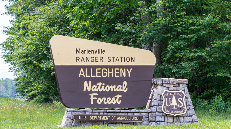 The Allegheny National Forest where  the Forest County Bigfoot Festival is held