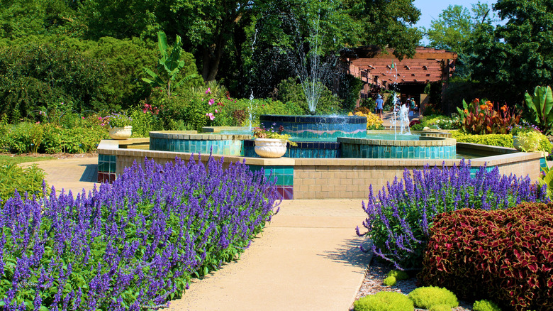 Manicured plants and flowers besides pathways with a water fountain taken at Botanica Gardens