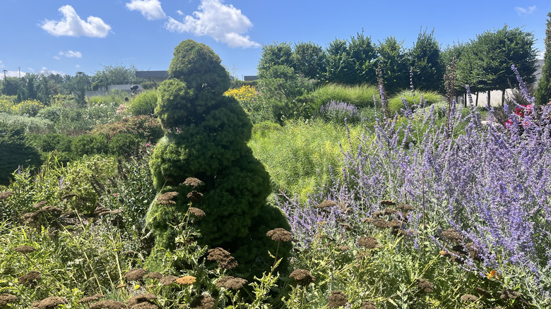 The abundant vegetation at Frederik Meijer Gardens and Sculpture Park