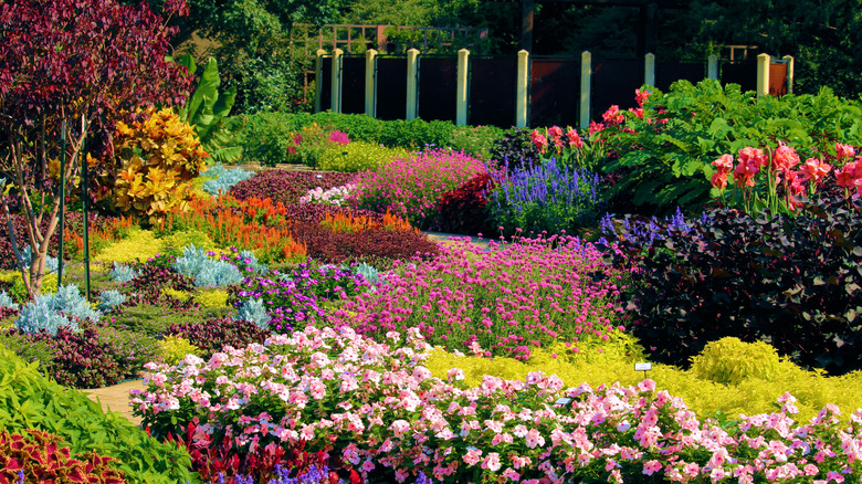 Manicured plants and flowers on display at Botanica Gardens