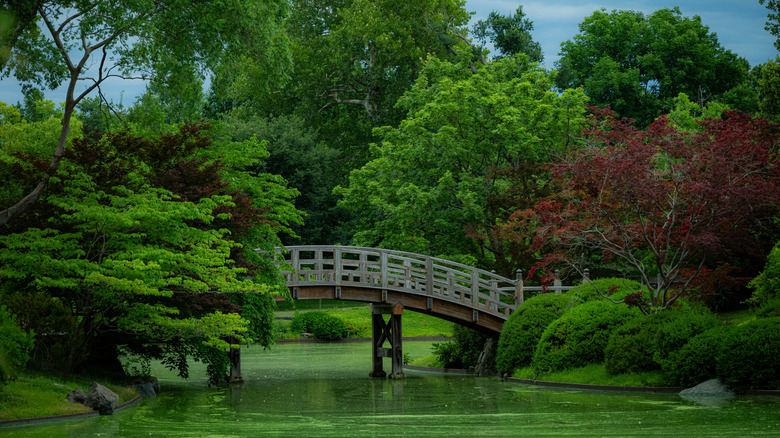 A wooden footbridge crossing a tranquil pond in the Japanese Garden
