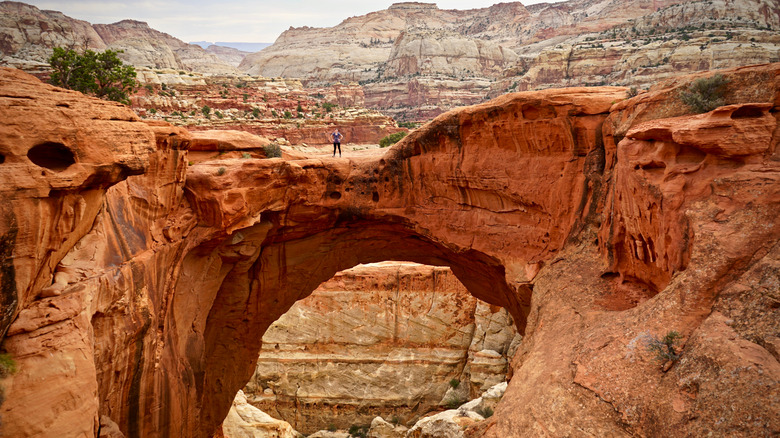 A person standing on Cassidy Arch in Capitol Reef National Park.