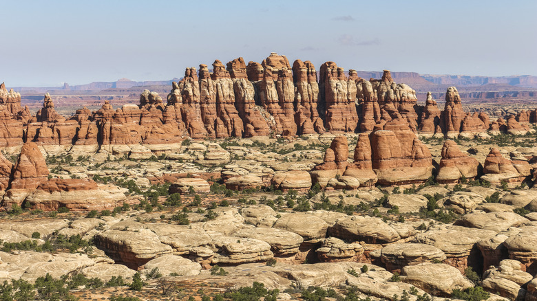 Needles rock formations in Canyonlands National Park, Utah.