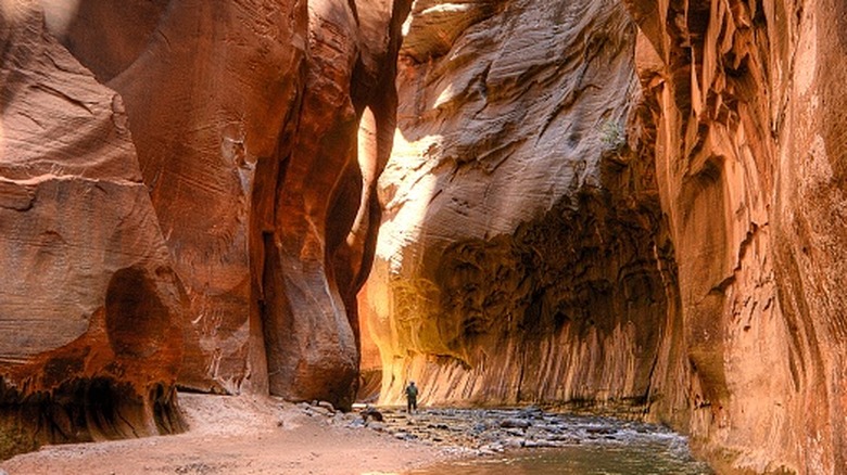 The Narrows follows the Virgin River in Zion National Park.