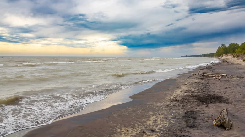 Long Point Provincial Park